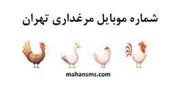 نمایش جزئیات برای  شماره موبایل مرغداری تهران تصویر  شماره موبایل مرغداری تهران